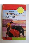 Shadow of a Bull