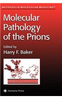 Molecular Pathology of the Prions