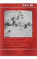 Excavations at Melford Meadows, Brettenham, 1994