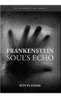 Frankenstein Soul's Echo