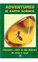 Fossils- Life in the Rocks