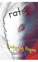 Rat Coloring Pages: Beautiful Rats Drawings for Kids and for Adults Relaxation