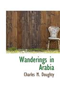 Wanderings in Arabia