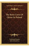 Bone Caves Of Ojcow In Poland