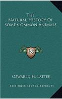 The Natural History Of Some Common Animals