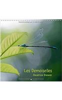 Les Demoiselles 2017: Le Monde Des Libellules (Calvendo Nature)