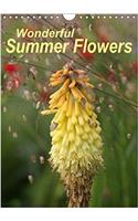 Wonderful Summer Flowers 2018