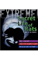 Extreme Science: The Secret Life of Rats