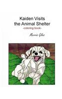 Kaiden Visits the Animal Shelter