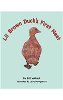 Lil Brown Duck's First Nest