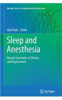 Sleep and Anesthesia: Neural Correlates in Theory and Experiment