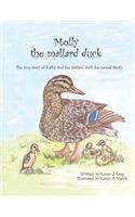 Molly the Mallard Duck