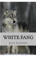 White Fang