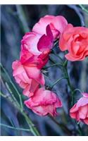 Cute Flower