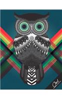 Owl Notebook Collection