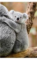Such an Adorable Baby Koala Bear Journal