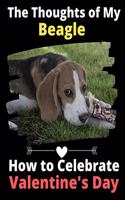 Thoughts of My Beagle: How to Celebrate Valentine's Day