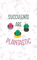 Succulents are Plantastic