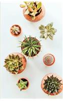 The Botanical Collection
