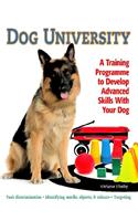 Dog University