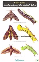 Guide to the Hawkmoths of the British Isles