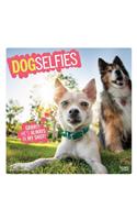 Dog Selfies 2020 Square Wall Calendar