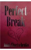 Perfect Break