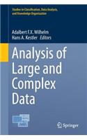 Analysis of Large and Complex Data
