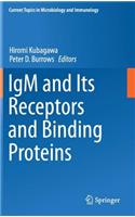 Igm and Its Receptors and Binding Proteins