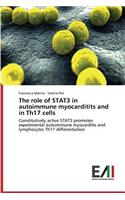 role of STAT3 in autoimmune myocarditits and in Th17 cells