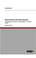 Male Domination and Female Resistance