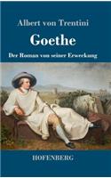 Goethe: Der Roman von seiner Erweckung