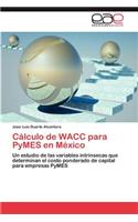 Calculo de Wacc Para Pymes En Mexico