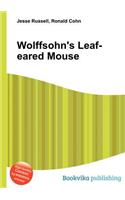 Wolffsohn's Leaf-Eared Mouse