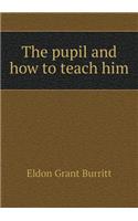 The Pupil and How to Teach Him