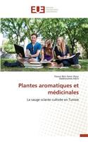 Plantes Aromatiques Et Médicinales