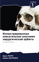 Иллюстрированная описательная анатомия &