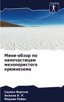 Мини-обзор по наночастицам мезопористого