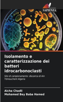 Isolamento e caratterizzazione dei batteri idrocarbonoclasti