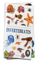 Animals: Invertebrates Knowledge Encyclopedia for Children