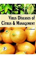 Virus Diseases of Citrus & Management