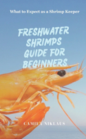 Freshwater Shrimps Guide for Beginners