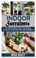 Indoor Succulents
