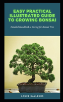 Easy Practical Illustrated Guide to Growing Bonsai