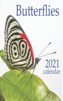 Butterflies: 2021 Wall & Office Calendar, 12 Month Calendar