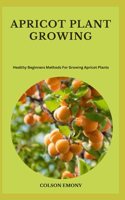 Apricot Plant Growing
