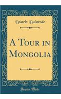 A Tour in Mongolia (Classic Reprint)