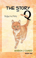 Story of Q - Misha Goes Missing