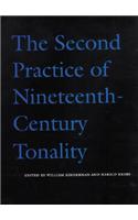 The Second Practice of Nineteenth Century Tonality