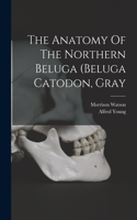 Anatomy Of The Northern Beluga (beluga Catodon, Gray